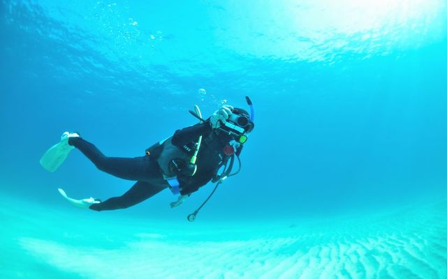 diving-feering