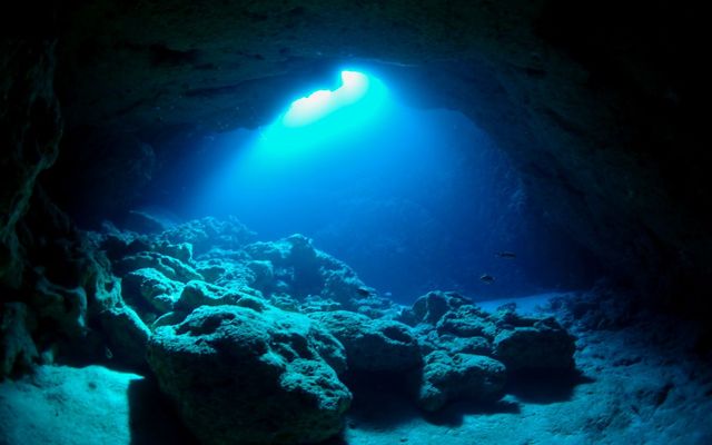 diving-breaf